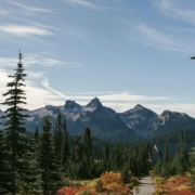 featured image for pacific north west road trip blog
